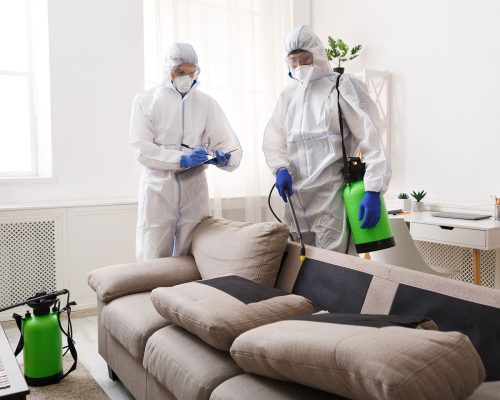 home-disinfection-by-cleaning-service-surface-tre-2021-08-27-16-37-35-3KNTV5E.jpg