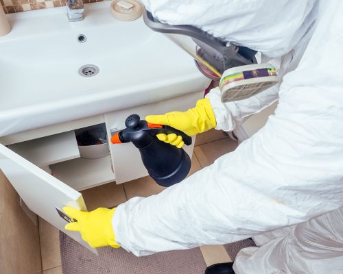 pest-control-worker-spraying-pesticides-with-spray-2022-05-12-00-49-48-NRFFFED.jpg